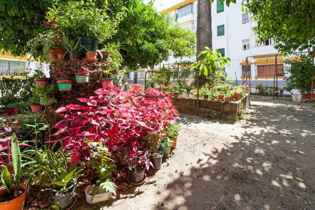 Apartamento A Los Pies Del Alcazar Sevilla Buitenkant foto